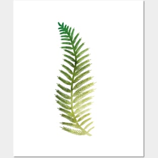 Fern Leaf Posters and Art